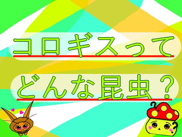 Thumbnail of post image 096